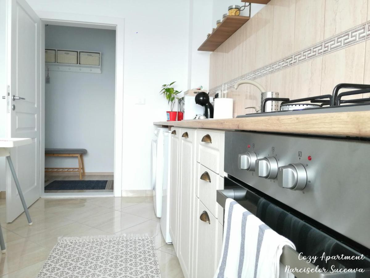 Cozy Apartment Narciselor Suceava Ipotesti  Екстериор снимка