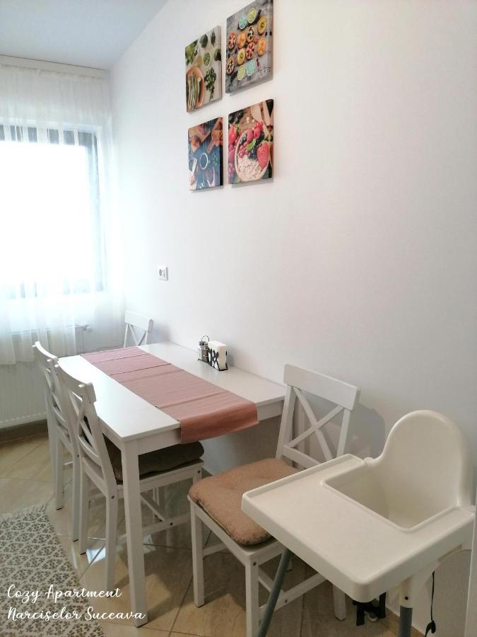 Cozy Apartment Narciselor Suceava Ipotesti  Екстериор снимка